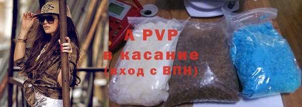 стафф Богородицк