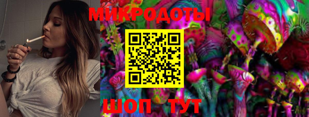 Галлюциногенные грибы Psilocybine cubensis Мончегорск